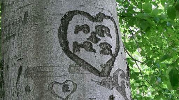 Liebe wächst