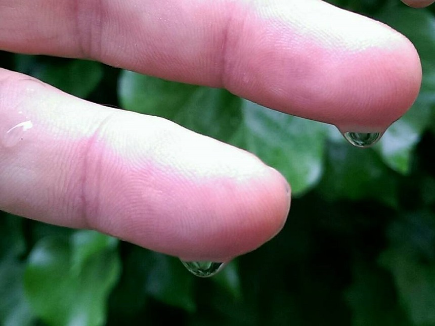 Tropfenform