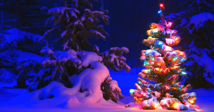 Weihnachtsfest