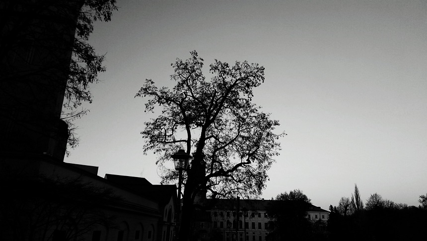 Zufriedenheit